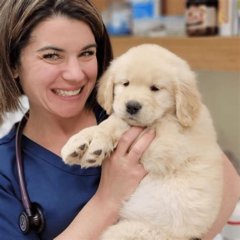 pend oreille pet lodge|North Idaho's Trusted Vet .